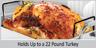 holds up to a 22 pound turkey