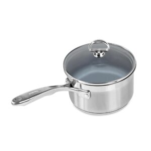 Induction 21 stainless steel 2 quart coated saucepan